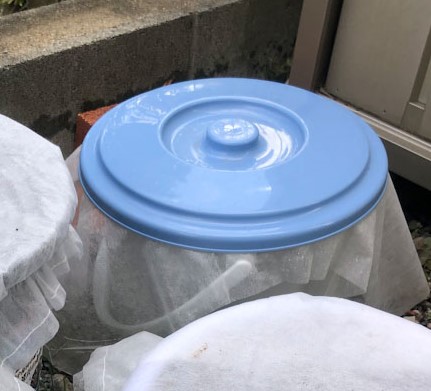 我が家のバケツコンポスト