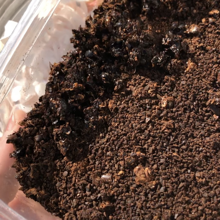 我が家のバケツコンポスト