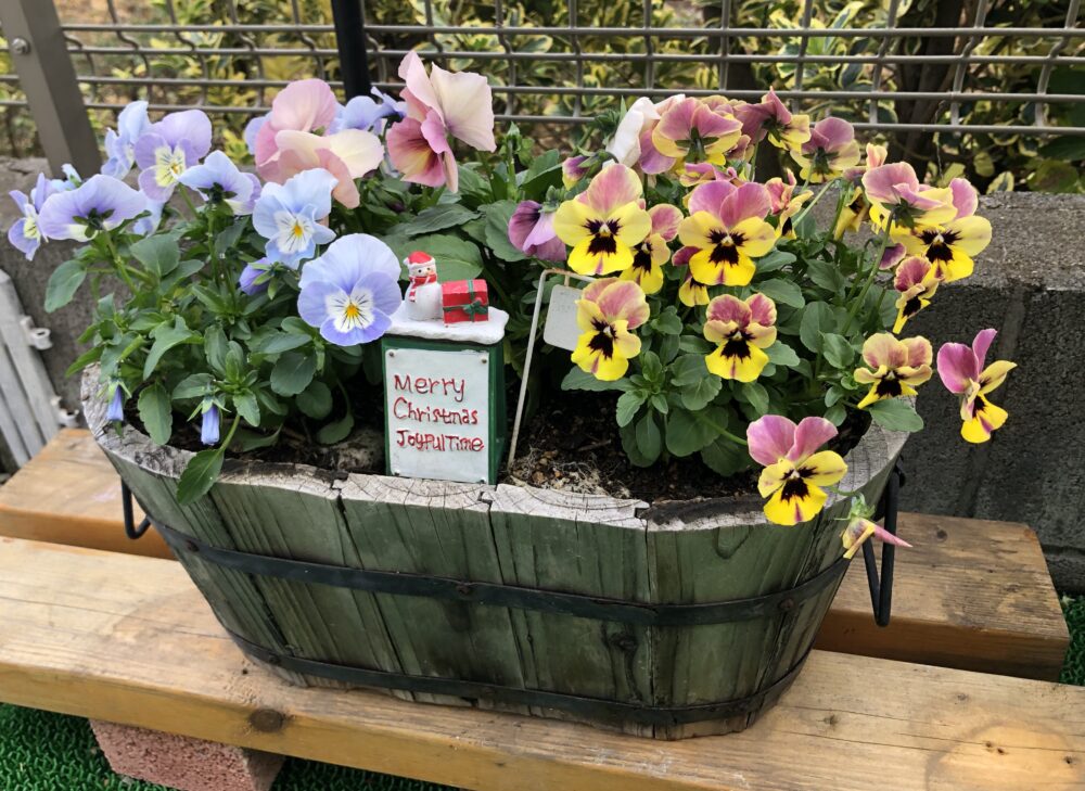 コンポストでガーデンニング